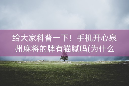 给大家科普一下！手机开心泉州麻将的牌有猫腻吗(为什么经常输)