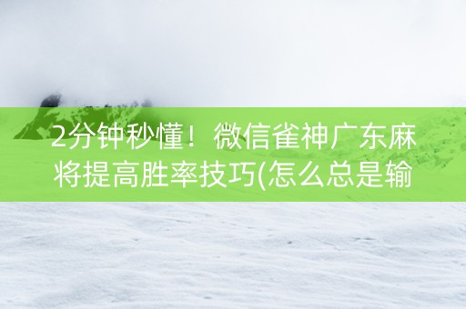 2分钟秒懂！微信雀神广东麻将提高胜率技巧(怎么总是输)