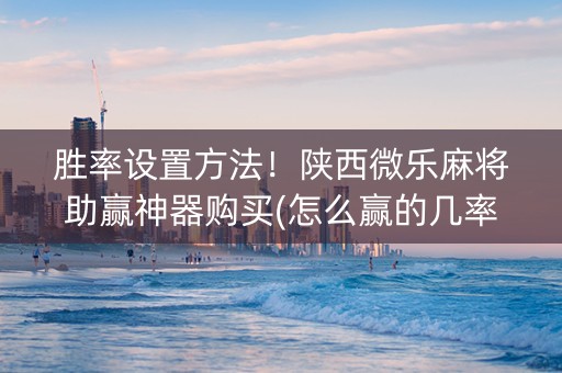 胜率设置方法！陕西微乐麻将助赢神器购买(怎么赢的几率大)