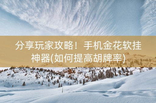 分享玩家攻略！手机金花软挂神器(如何提高胡牌率)