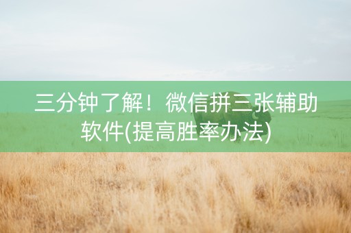三分钟了解！微信拼三张辅助软件(提高胜率办法)
