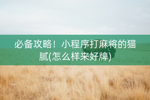 必备攻略！小程序打麻将的猫腻(怎么样来好牌)
