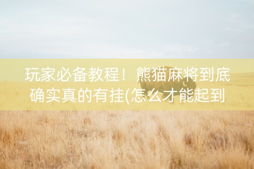 玩家必备教程！熊猫麻将到底确实真的有挂(怎么才能起到好牌)