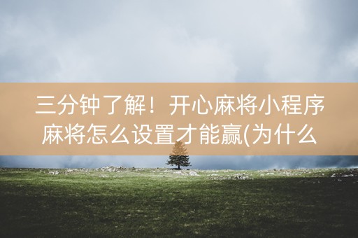 三分钟了解！开心麻将小程序麻将怎么设置才能赢(为什么老是输呢)