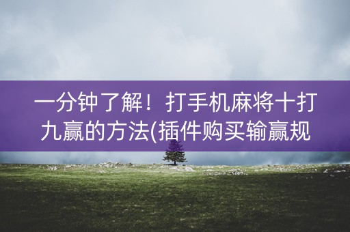 一分钟了解！打手机麻将十打九赢的方法(插件购买输赢规律)
