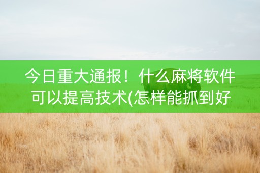 今日重大通报！什么麻将软件可以提高技术(怎样能抓到好牌)