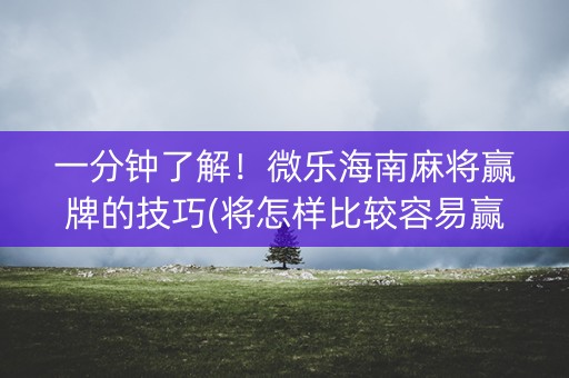 一分钟了解！微乐海南麻将赢牌的技巧(将怎样比较容易赢)