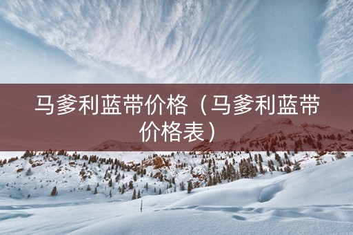 马爹利蓝带价格（马爹利蓝带价格表）