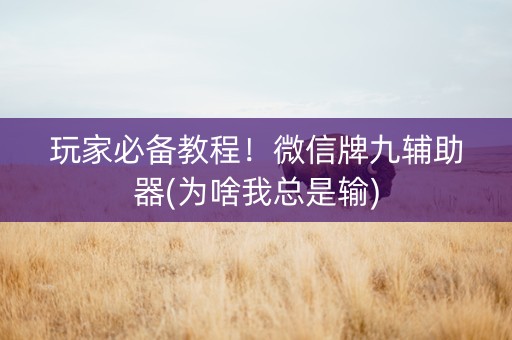玩家必备教程！微信牌九辅助器(为啥我总是输)