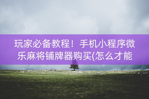 玩家必备教程！手机小程序微乐麻将铺牌器购买(怎么才能赢得多)