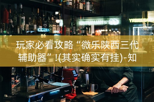 玩家必看攻略“微乐陕西三代辅助器”!(其实确实有挂)-知乎
