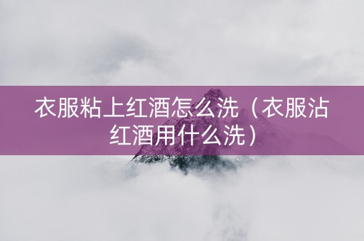 衣服粘上红酒怎么洗（衣服沾红酒用什么洗）