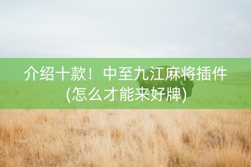 介绍十款！中至九江麻将插件(怎么才能来好牌)