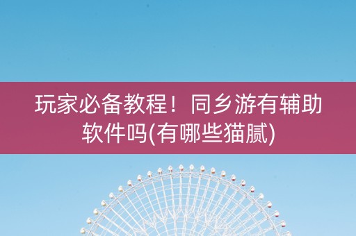 玩家必备教程！同乡游有辅助软件吗(有哪些猫腻)