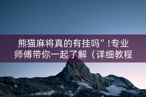 熊猫麻将真的有挂吗”!专业师傅带你一起了解（详细教程）-知乎