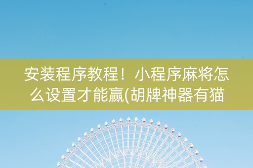 安装程序教程！小程序麻将怎么设置才能赢(胡牌神器有猫腻吗)