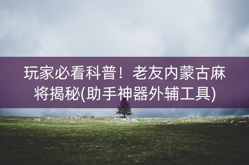 玩家必看科普！老友内蒙古麻将揭秘(助手神器外辅工具)
