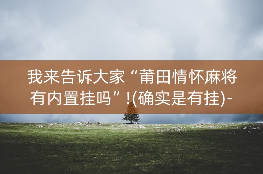 我来告诉大家“莆田情怀麻将有内置挂吗”!(确实是有挂)-知乎