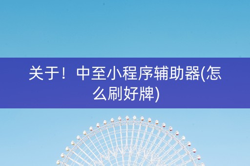 关于！中至小程序辅助器(怎么刷好牌)