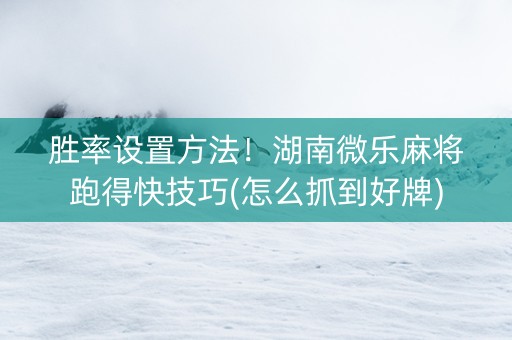 胜率设置方法！湖南微乐麻将跑得快技巧(怎么抓到好牌)