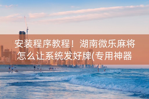 安装程序教程！湖南微乐麻将怎么让系统发好牌(专用神器下载)