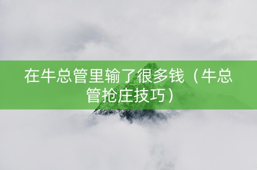 在牛总管里输了很多钱（牛总管抢庄技巧）