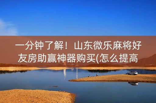 一分钟了解！山东微乐麻将好友房助赢神器购买(怎么提高胜率)