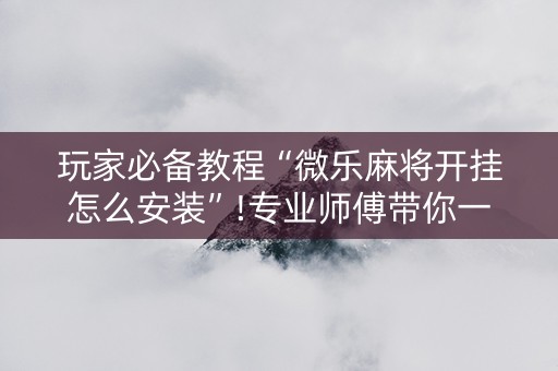 玩家必备教程“微乐麻将开挂怎么安装”!专业师傅带你一起了解（详细教程）-知乎