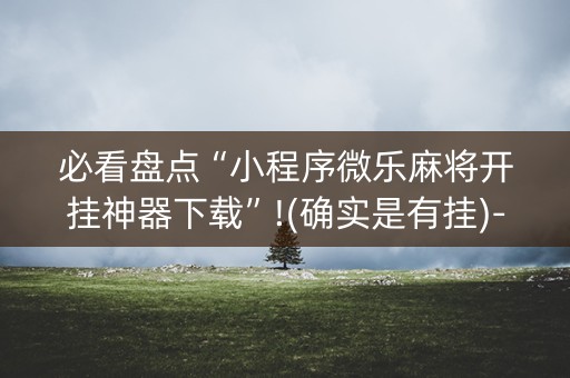 必看盘点“小程序微乐麻将开挂神器下载”!(确实是有挂)-知乎