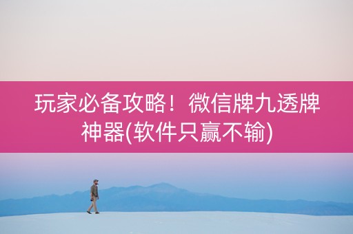 玩家必备攻略！微信牌九透牌神器(软件只赢不输)
