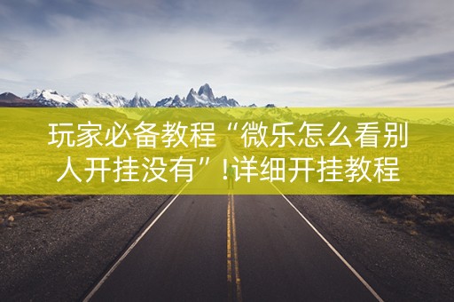 玩家必备教程“微乐怎么看别人开挂没有”!详细开挂教程-知乎