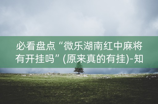 必看盘点“微乐湖南红中麻将有开挂吗”(原来真的有挂)-知乎