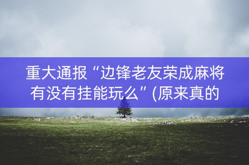 重大通报“边锋老友荣成麻将有没有挂能玩么”(原来真的有挂)-知乎