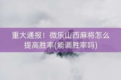 重大通报！微乐山西麻将怎么提高胜率(能调胜率吗)