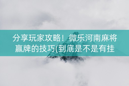 分享玩家攻略！微乐河南麻将赢牌的技巧(到底是不是有挂)