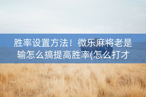 胜率设置方法！微乐麻将老是输怎么搞提高胜率(怎么打才赢)