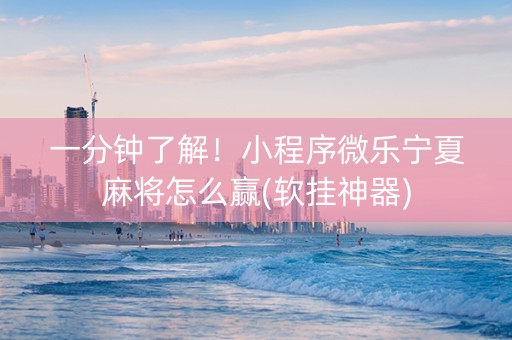 一分钟了解！小程序微乐宁夏麻将怎么赢(软挂神器)