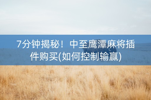 7分钟揭秘！中至鹰潭麻将插件购买(如何控制输赢)