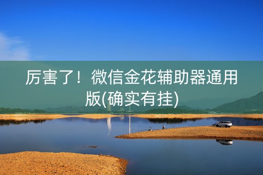 厉害了！微信金花辅助器通用版(确实有挂)