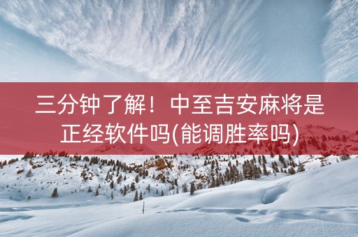 三分钟了解！中至吉安麻将是正经软件吗(能调胜率吗)