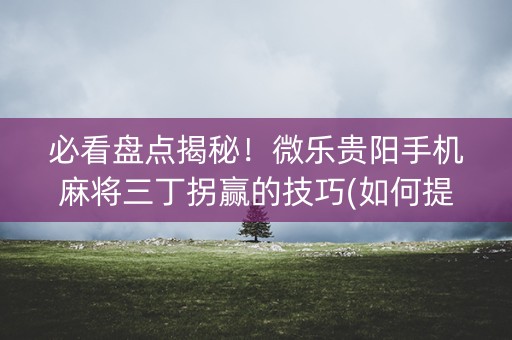 必看盘点揭秘！微乐贵阳手机麻将三丁拐赢的技巧(如何提高好牌几率)