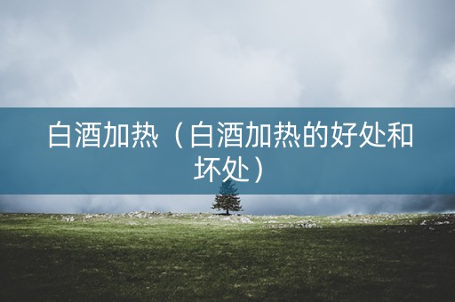 白酒加热（白酒加热的好处和坏处）