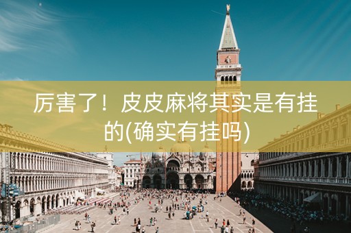 厉害了！皮皮麻将其实是有挂的(确实有挂吗)