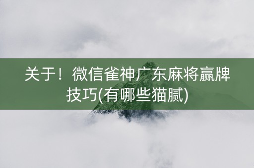 关于！微信雀神广东麻将赢牌技巧(有哪些猫腻)