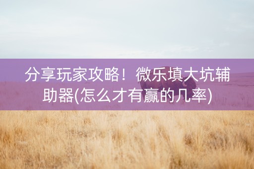 分享玩家攻略！微乐填大坑辅助器(怎么才有赢的几率)