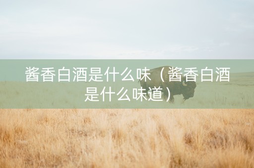 酱香白酒是什么味（酱香白酒是什么味道）