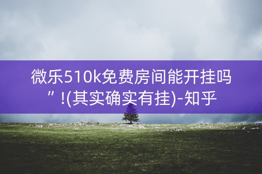 微乐510k免费房间能开挂吗”!(其实确实有挂)-知乎