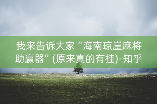 我来告诉大家“海南琼崖麻将助赢器”(原来真的有挂)-知乎