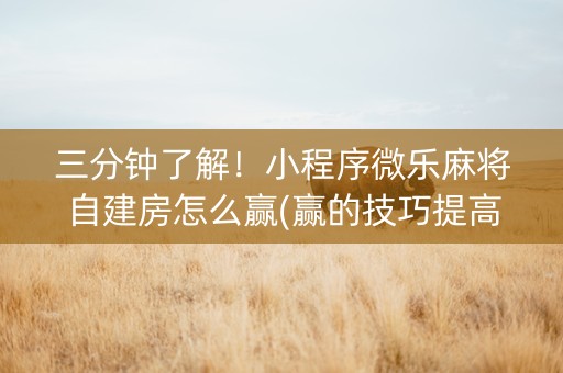 三分钟了解！小程序微乐麻将自建房怎么赢(赢的技巧提高胜率)