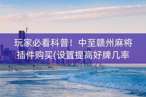 玩家必看科普！中至赣州麻将插件购买(设置提高好牌几率)